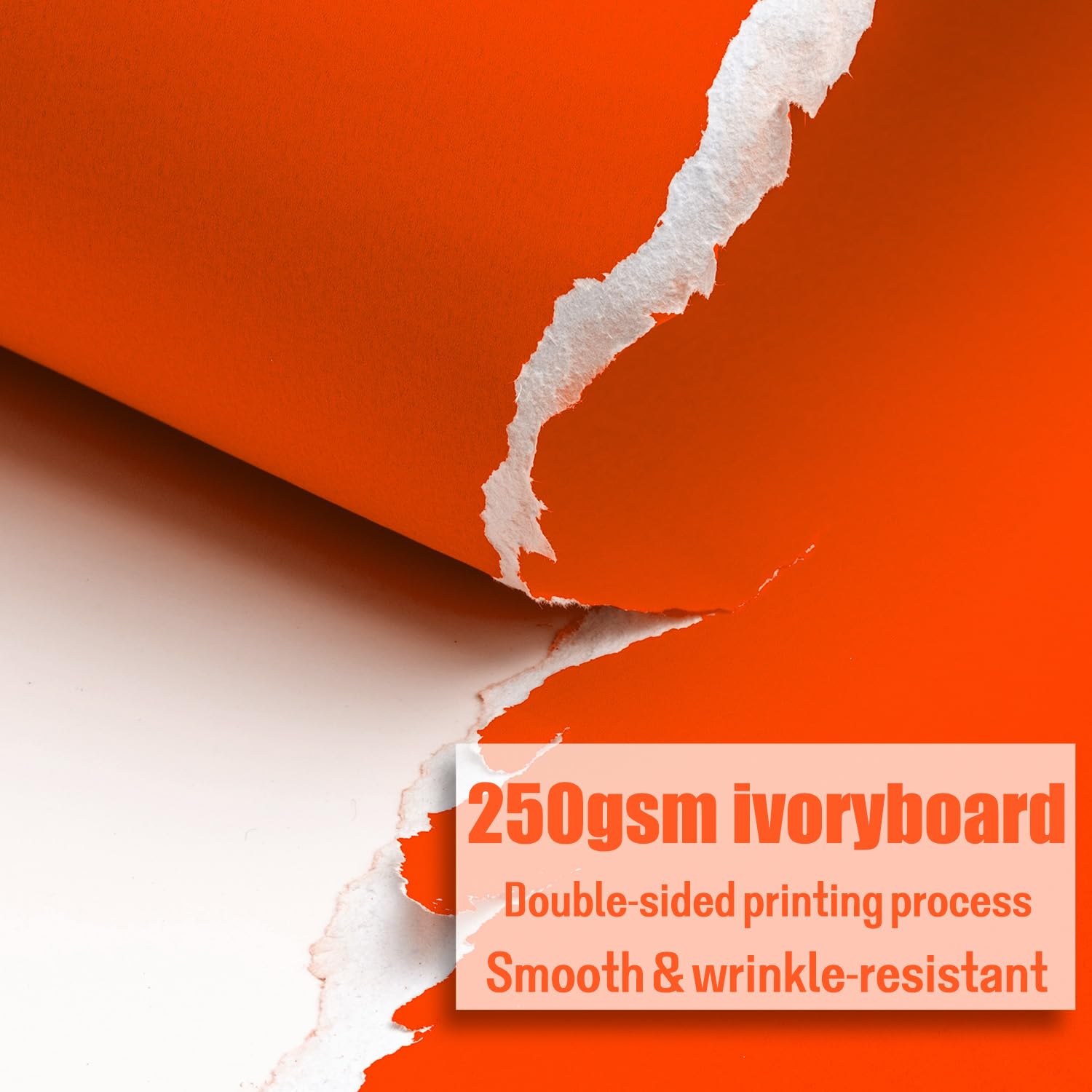 View 7