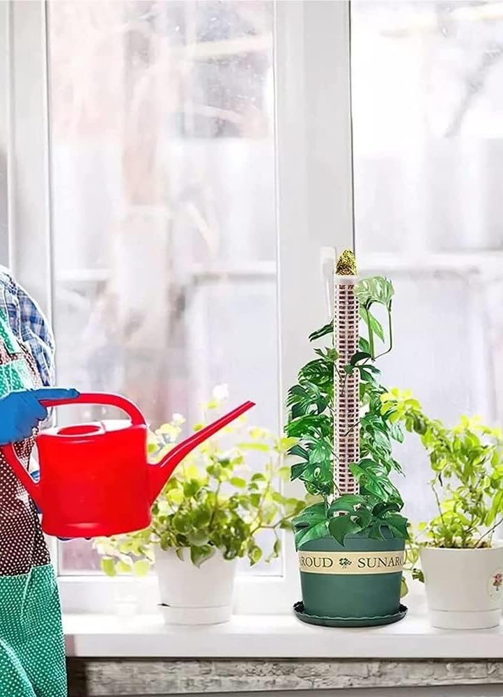 KeuLen Support for fraisiers, 6 poteaux en Plastique for Mousse, 38 cm, en Maille Transparente for Plantes Monstera en Pot