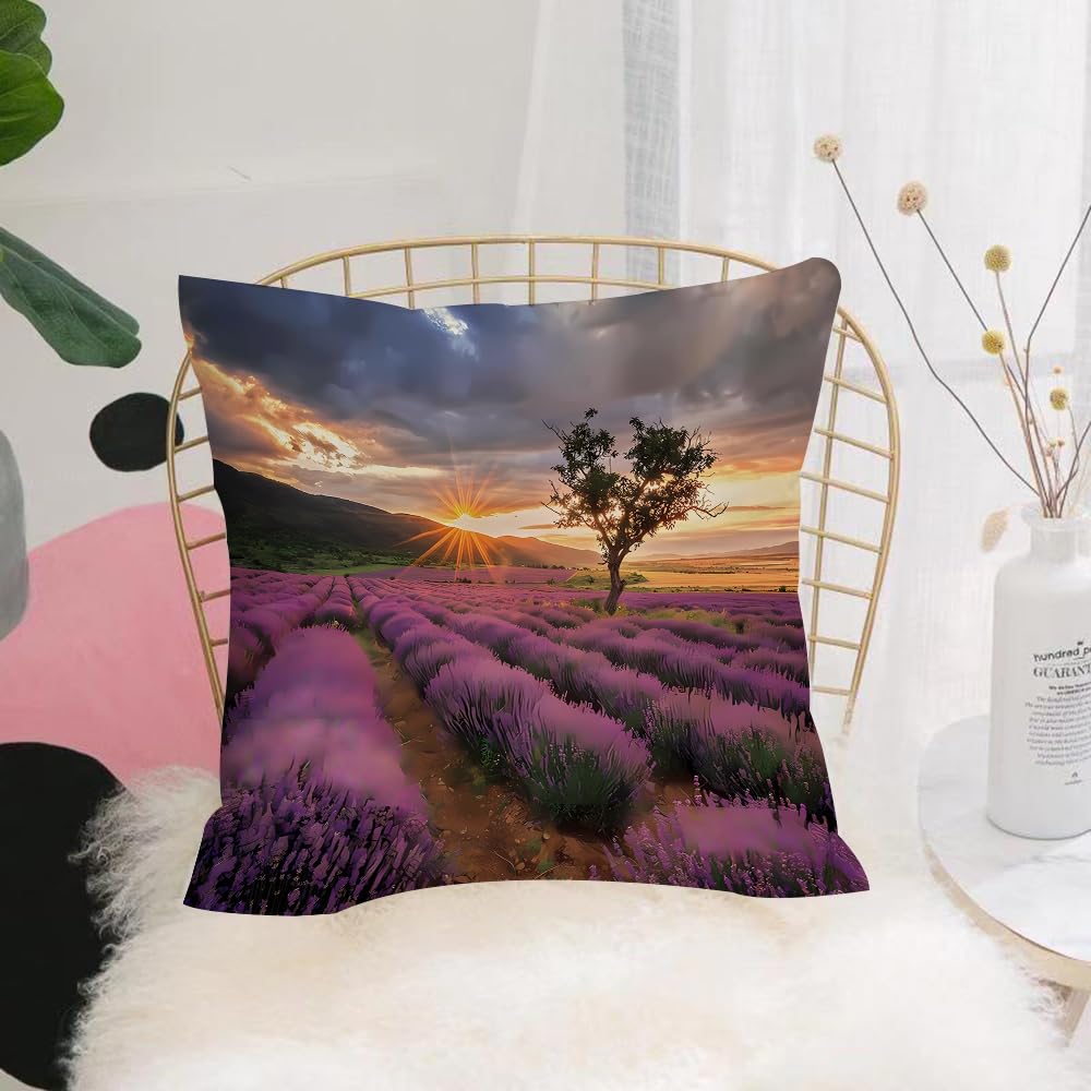 HYOSXW Cushion Cover,Throw Pillow Case Home Decorative for Living Room Bedroom Sofa Chair 16X16 Inch,Lavender purple field with beautiful sunset and lines,Pillowcase 40X40cm