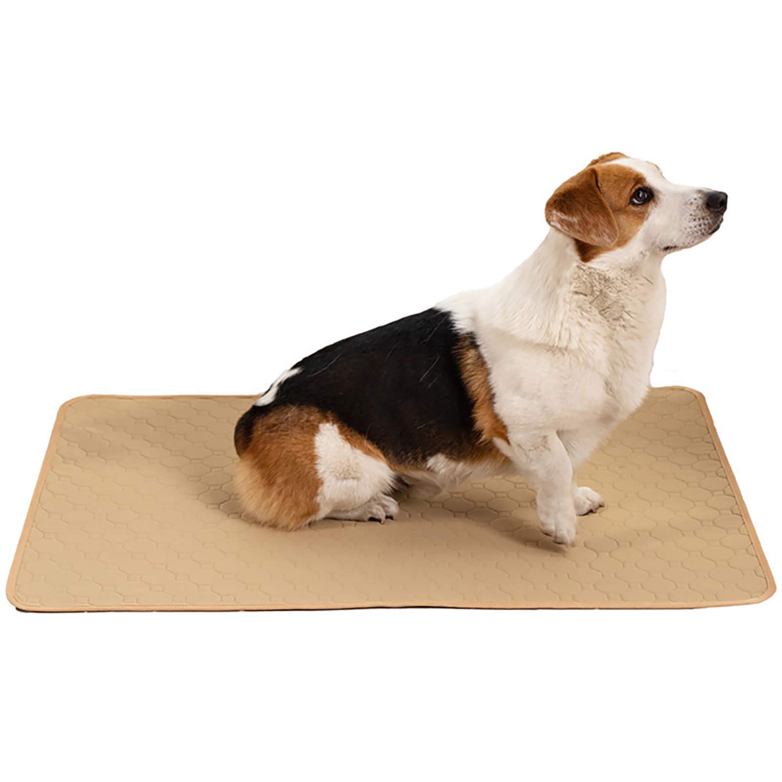 Tapis éducateurs pour chiens chats lapins réutilisable et lavable en tissu beige