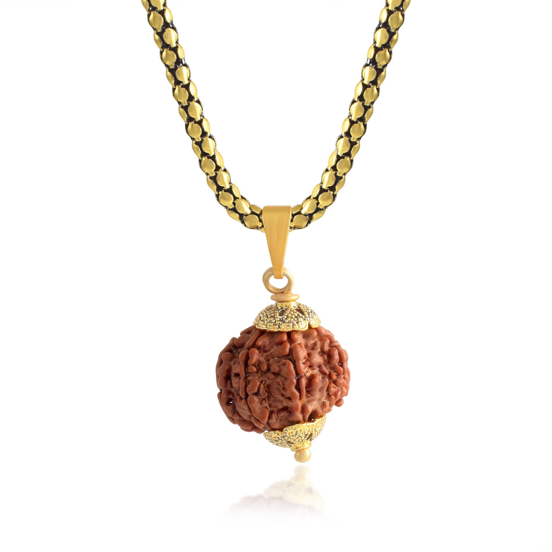 7 Mukhi Rudraksha Pendant Lab Certified Nepali seven Mukhi Original Certified Rudraksha Pendant with chain for Men and Women, Origin Nepal, Color Brown(ACPC0167A)