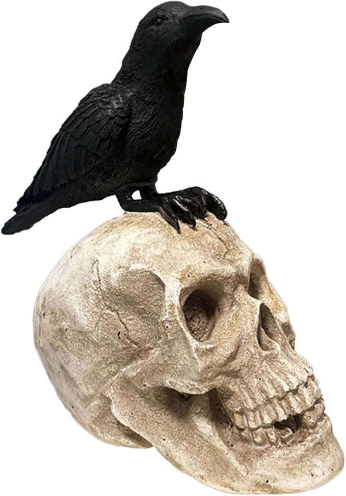 Halloween Raven On Skull Decor, Gothic Black Crow On Skull Statue,Resin Bird Perching On Skeleton Figurine 10.5