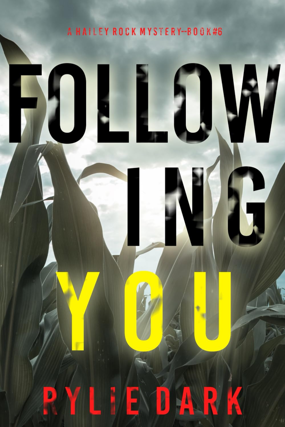 Following You (A Hailey Rock FBI Suspense Thriller—Book 6)