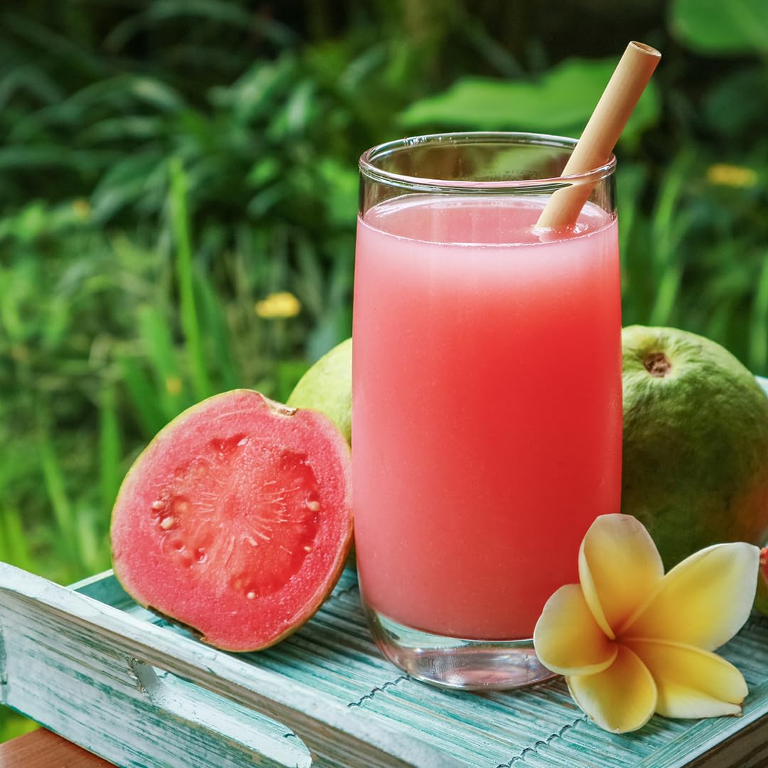 Taoro Guava Nectar - Rich and Fruity Tropical Flavor - 33.8 oz (Pack of 5)