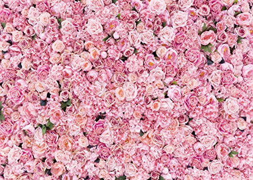 LYWYGG 7x5FT 3D Blumenwand Hintergrund Rosa Blumen Wohnkultur Hochzeit...