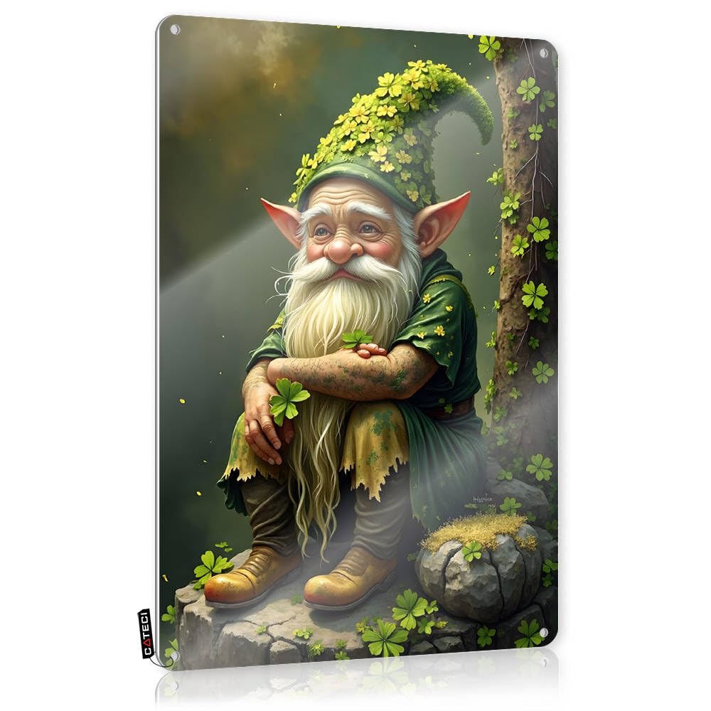Fzfn Colour Enchanted Forest Gnome With Clover Hat Kitchen Accessories Decor Sarcastic - Plaques Accessory Vintage Wall Art(20X30cm)