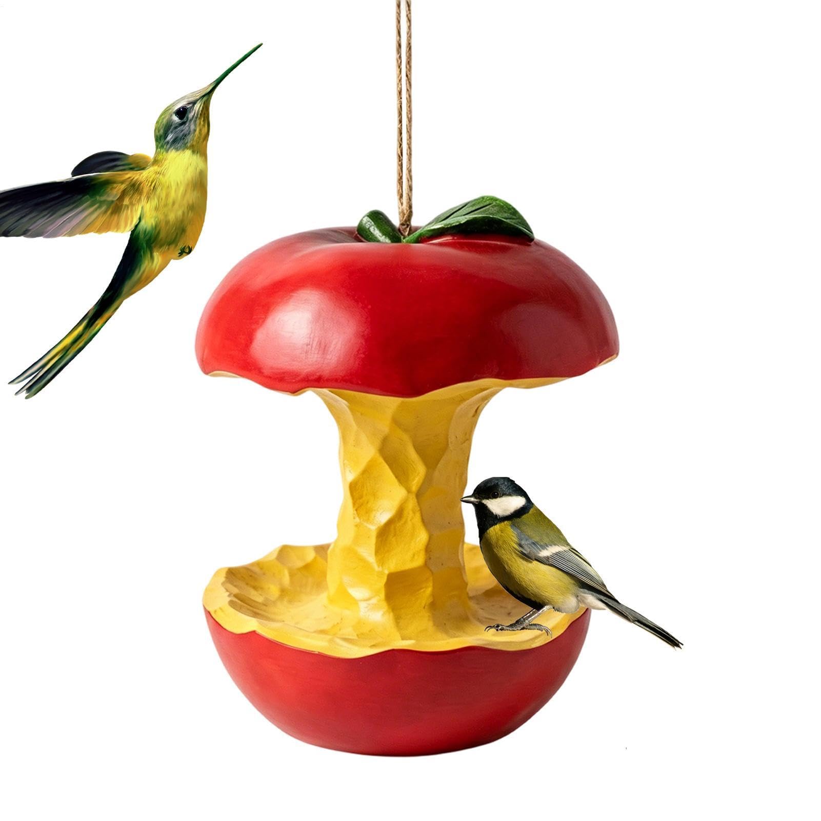 Mangeoire à colibris pour l'extérieur suspendue avec réservoir anti-fuite