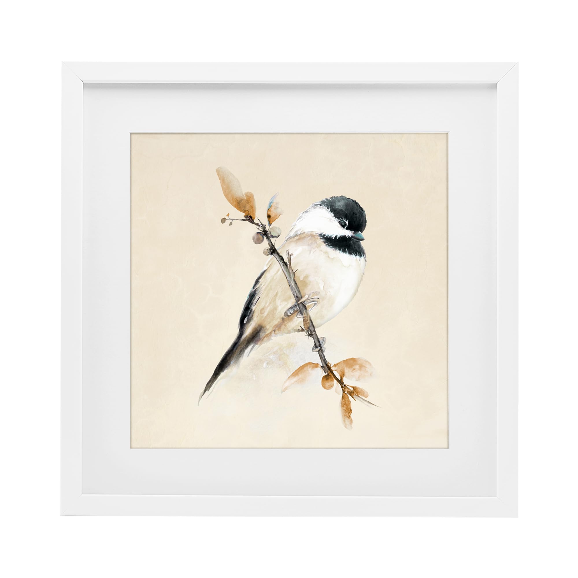 Stupell Industries 'Muted Watercolor Chickadee', Framed Print Under Glass, White, 16 x 16 Inches, Easy to Hang and Sturdy, Made in USA, by Diannart