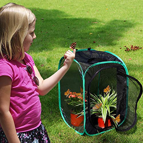 Image of RESTCLOUD Insect and Butterfly Habitat Cage Pop-up 23.6 Inches Tall | Butterfly Terrarium, Enclosure, Tight Mesh