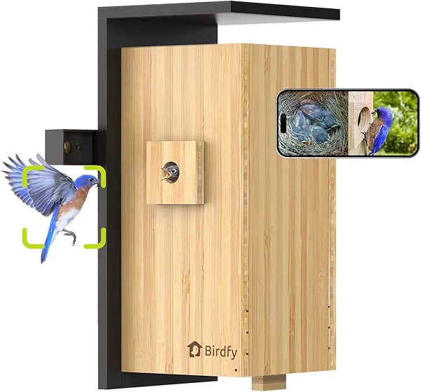 Birdfy Smart Bird House with Cameras 2025 New Version, 1080P Dual-Cam, Remote Control AI & Solar Powered, Wireless Outdoor Watch Bluebird Cardinal Nesting Story in Realtime, DIY Gift (Bamboo