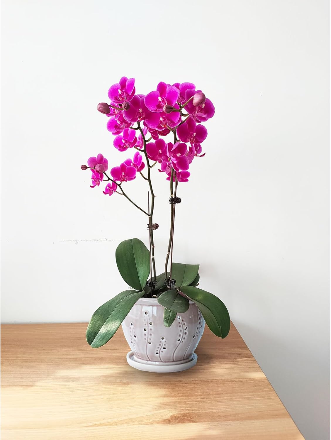 Orchid Pots with Holes, 6 inch Ceramic Orchid Pot for Repotting,Succulent Planters Flower Plant Pots for Plants, Breathable Slotted Orchids Planter (Rose Red)