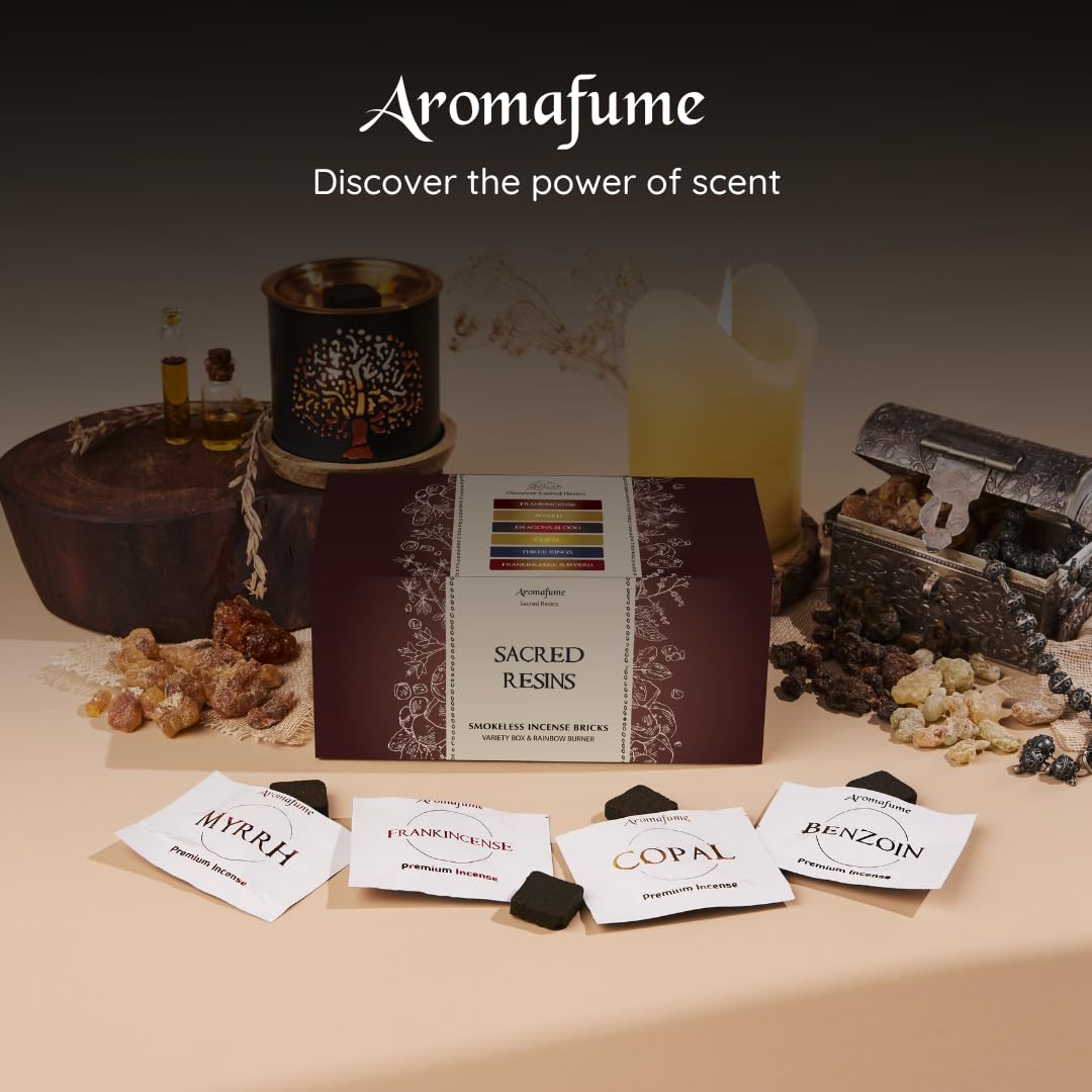 Juego de regalo de ladrillos de incienso sin humo y quemador de arco iris, 6 aromas, Aromafume