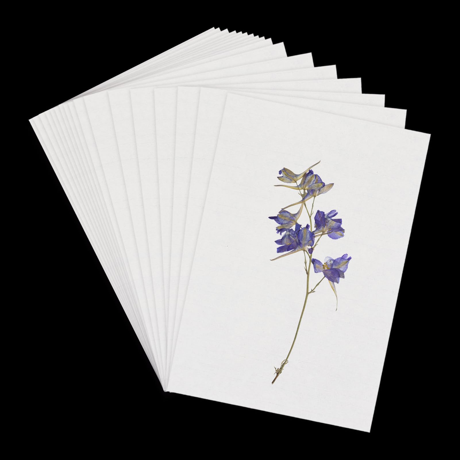 NICENEEDED 50 Fogli di Carta Assorbente per Pressa per Fiori, Carta Assorbente A4 di Grandi Dimensioni, Altamente Assorbente e Riutilizzabile, per La Stampa di Fiori, Erbario Artigianale