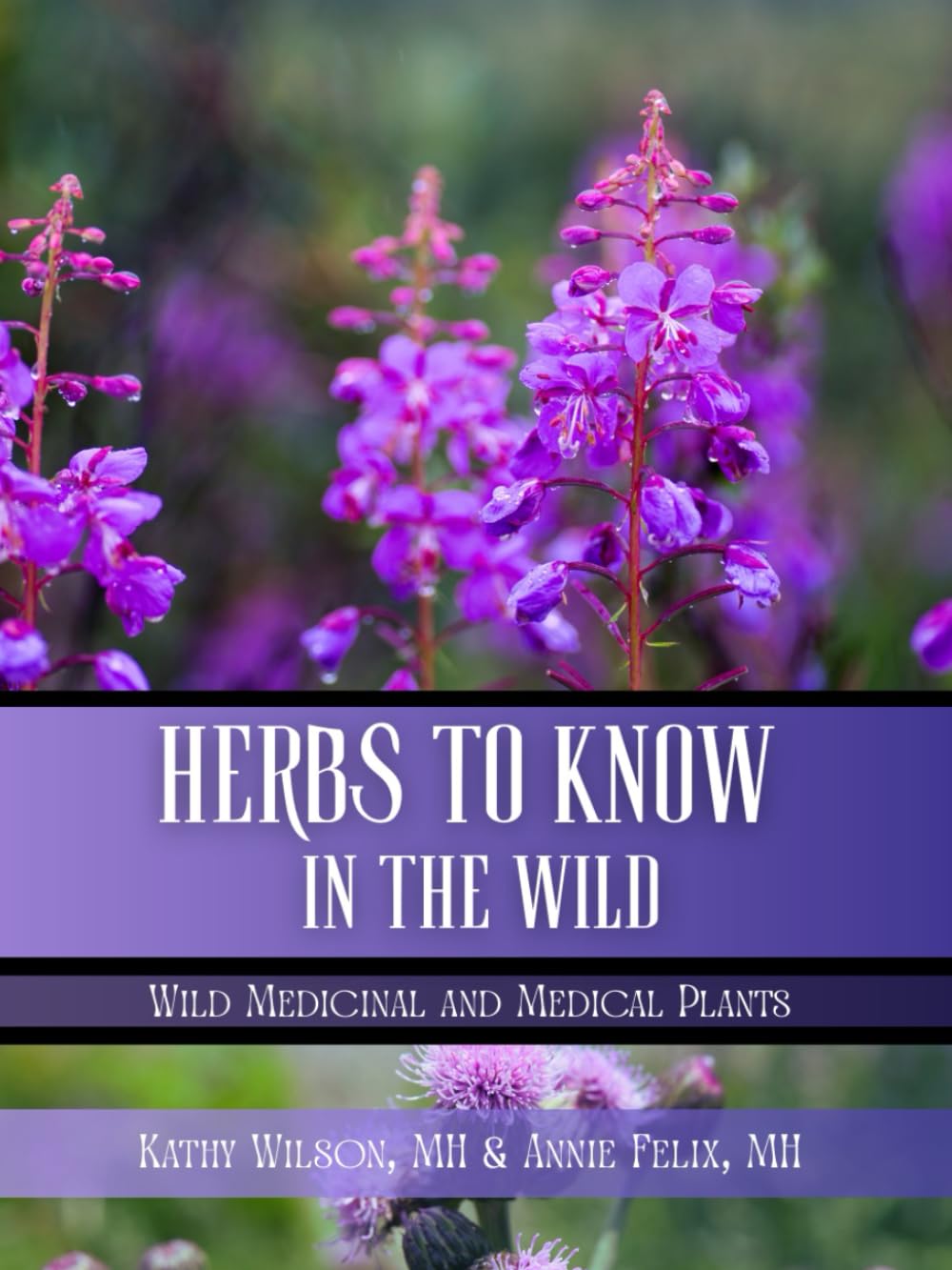 Herbs to Know in the Wild: Wild Medicinal and Edible Plants