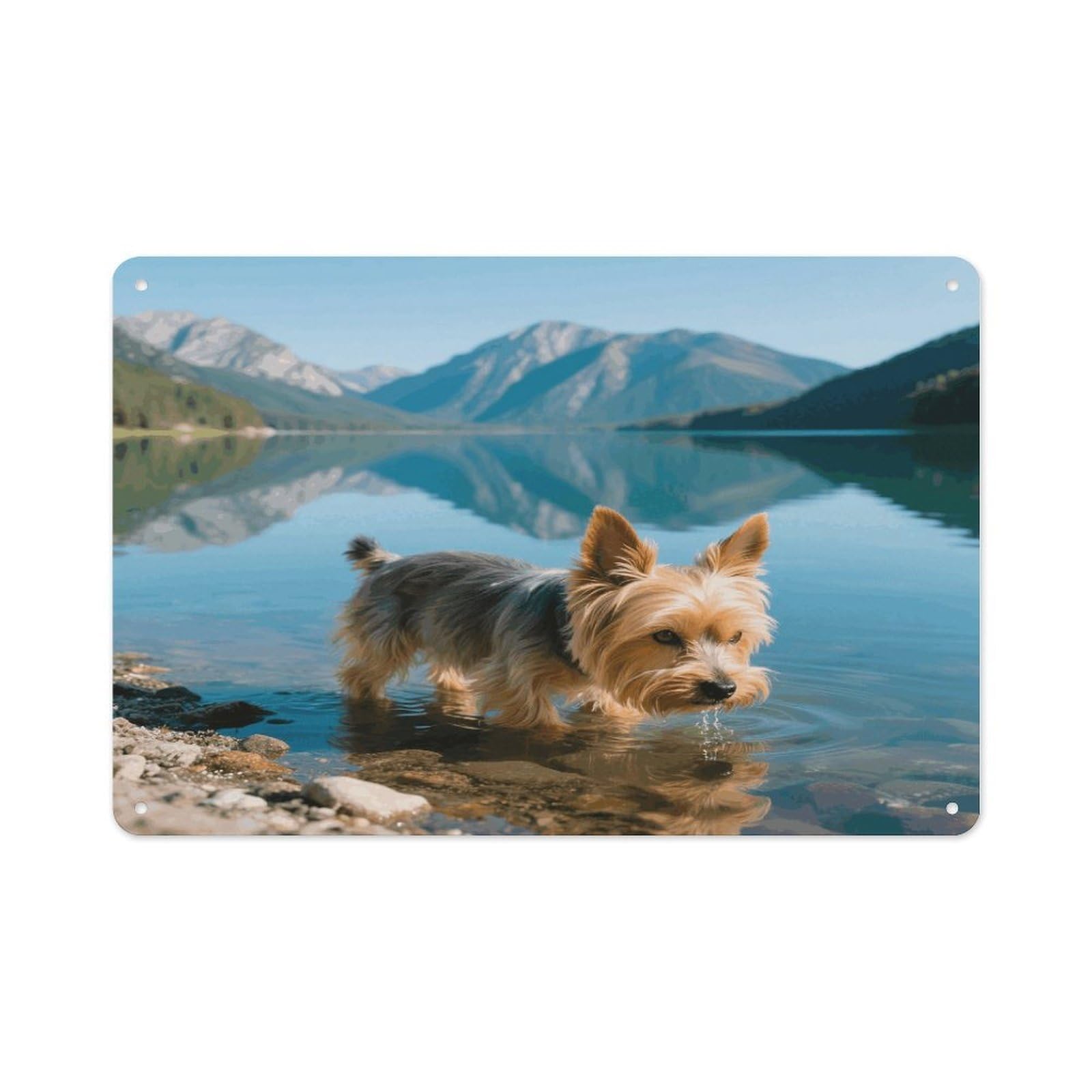 VstaDank Yorkshire Terrier by Lake Wall Art Prints Metal Sign Decor Painting Aluminum Wall Hanging Decor Vintage Poster Sublimation Picture Panel Weatherproof Art Decorative Wall Decors