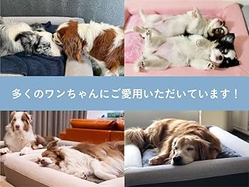 Amazon | グーグースリープ 犬 ペット ベッド エクストラ