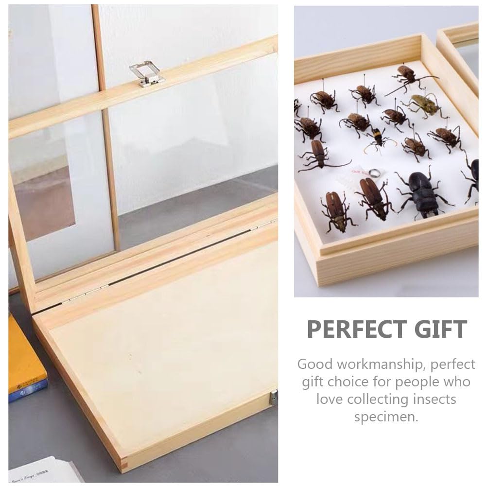 ULTECHNOVO Caja Vitrina De Mariposas Con Tapa Transparente Antipolvo Para Colección De Insectos Y Muestras 15X8.66X2.16 Pulgadas Artesanal