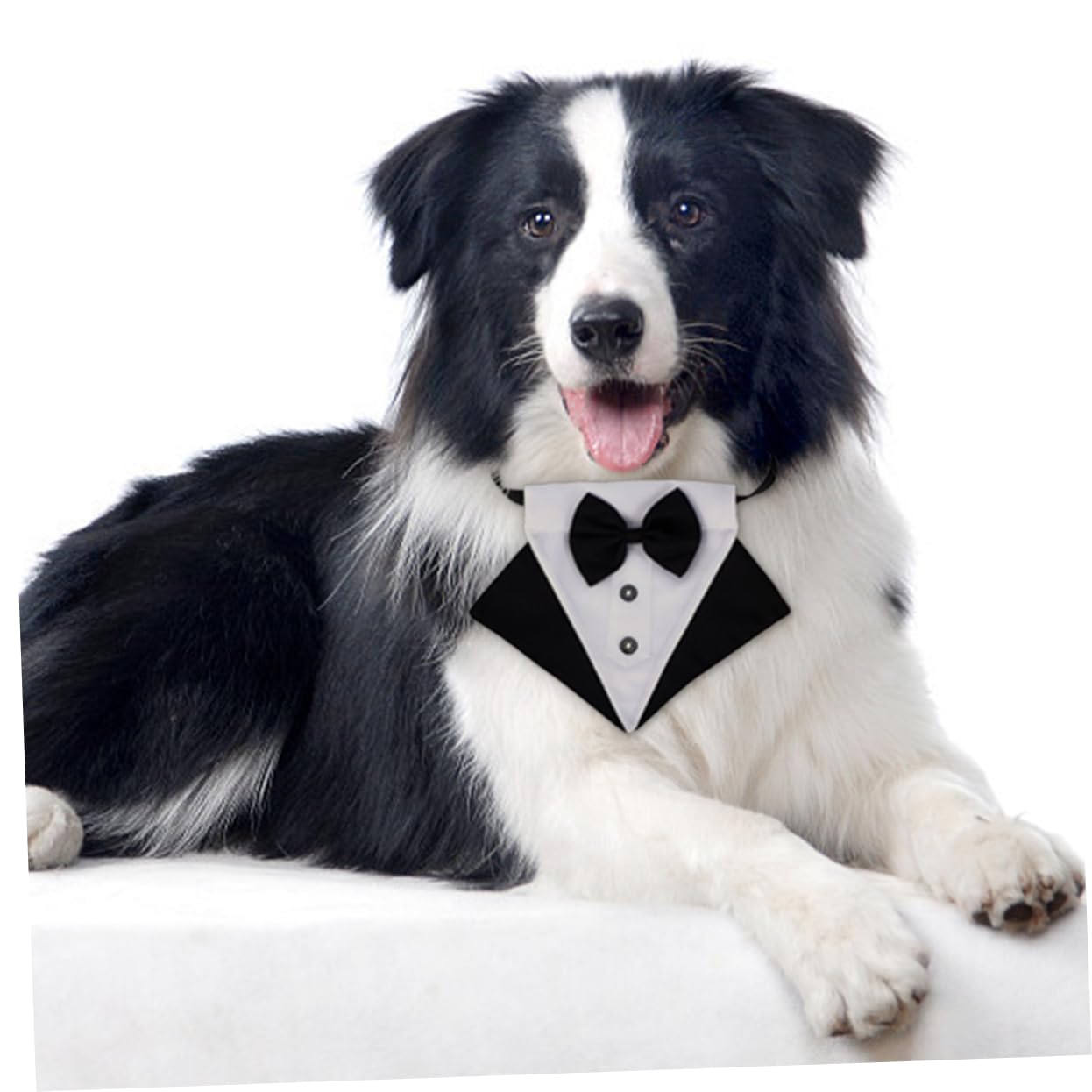 BESPORTBLE 3ensembles Bandana Triangulaire Adorable pour Chien Écharpe De Mode Accessoire Pratique pour Et Style Élégant avec Nœud