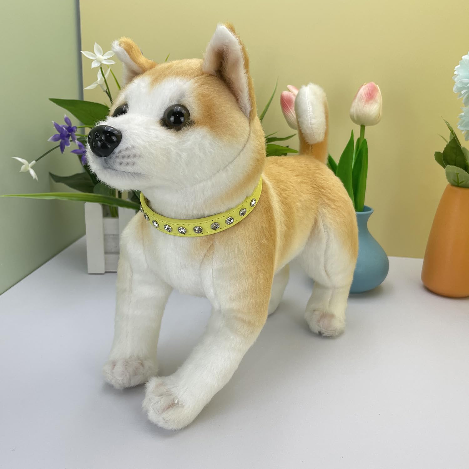 View 4