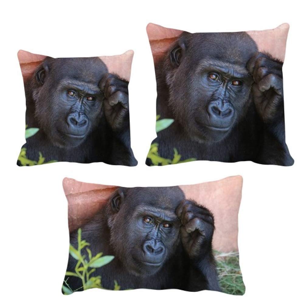 Housse de coussin chimpanzé pour embellir votre salon moderne