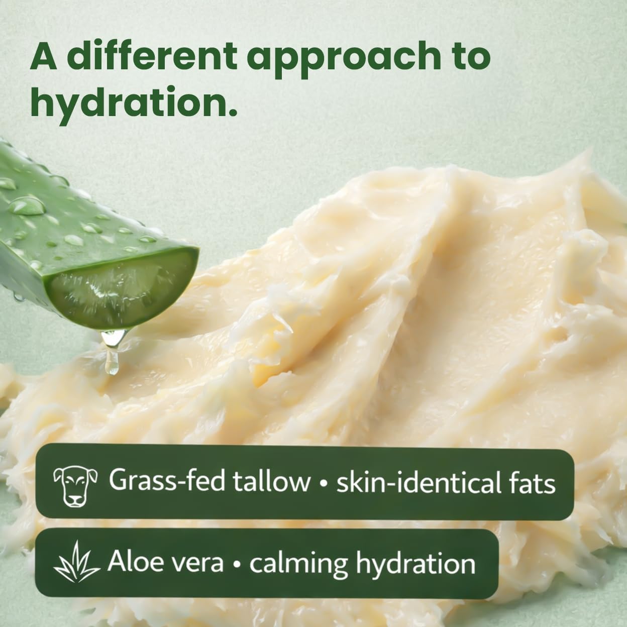Beef Tallow Body Lotion with Aloe Vera - Grass-Fed Moisturizer for Dry Sensitive Skin, Face and Body - Non-Greasy After Sun Tan Extender, 8oz Pump