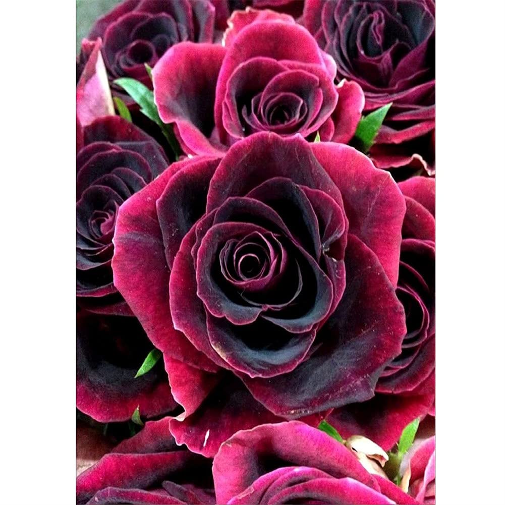 Art de Diamant Fleurs Rouges 70x120cm - Réveillez l'Artiste qui Sommeille en Vous