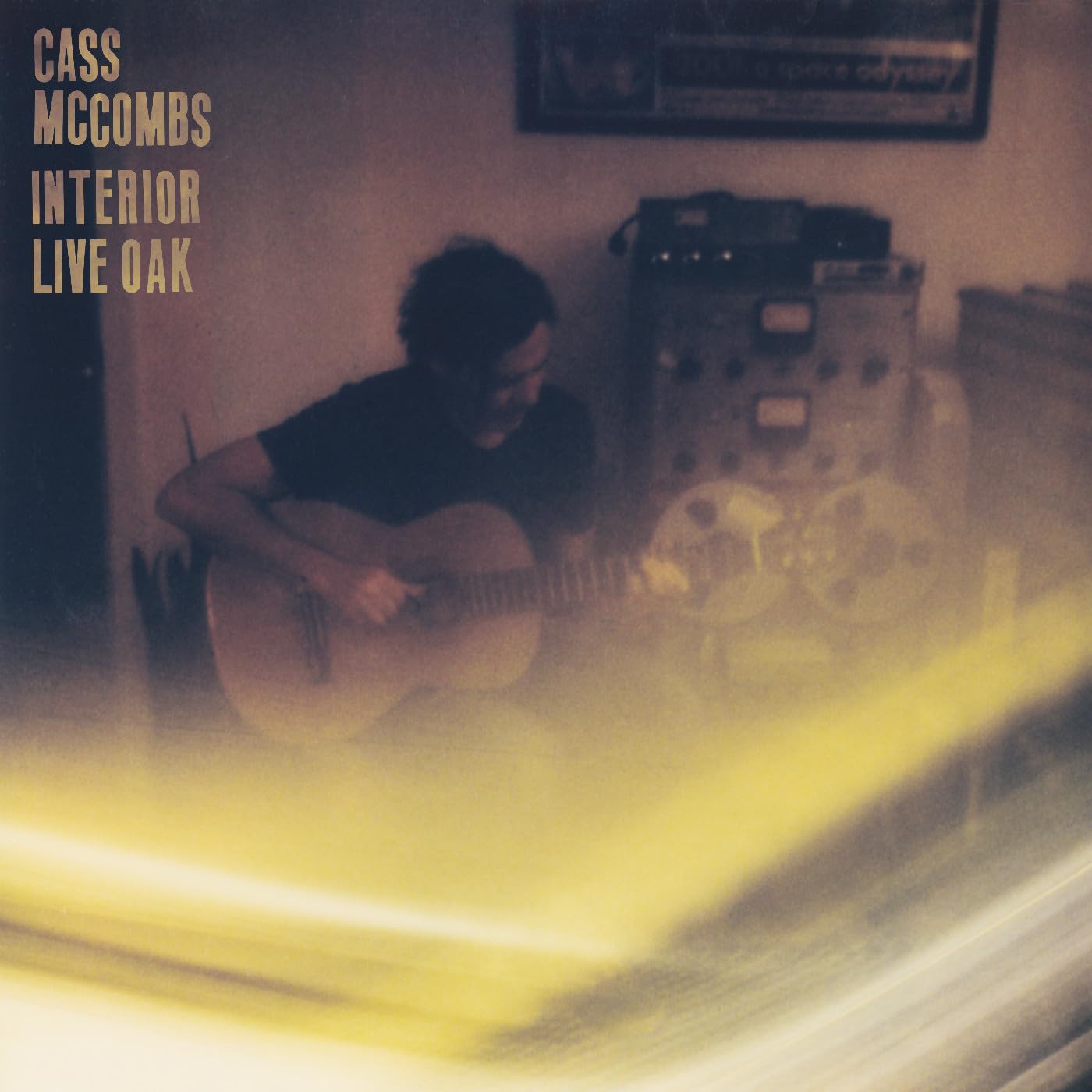 Interior Live Oak [VINYL]