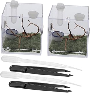 VILLFUL 2 Conjuntos De Mini-Recipientes De Terrário De Aranha Recipiente Transparente Mini-Cerca Caixa De Aranha Saltadora Caixa De Críquete Micro Habitat Caixa De Alimentação De