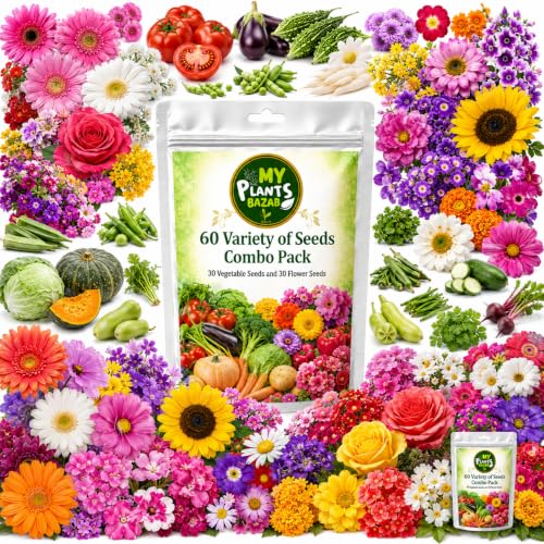Image of All Season Seeds Combo - 60 Variety Pack | Veg + Flower Seeds | 3700+ Seeds | High Germination | Home Gardening Kit for Balcony, Terrace & Garden