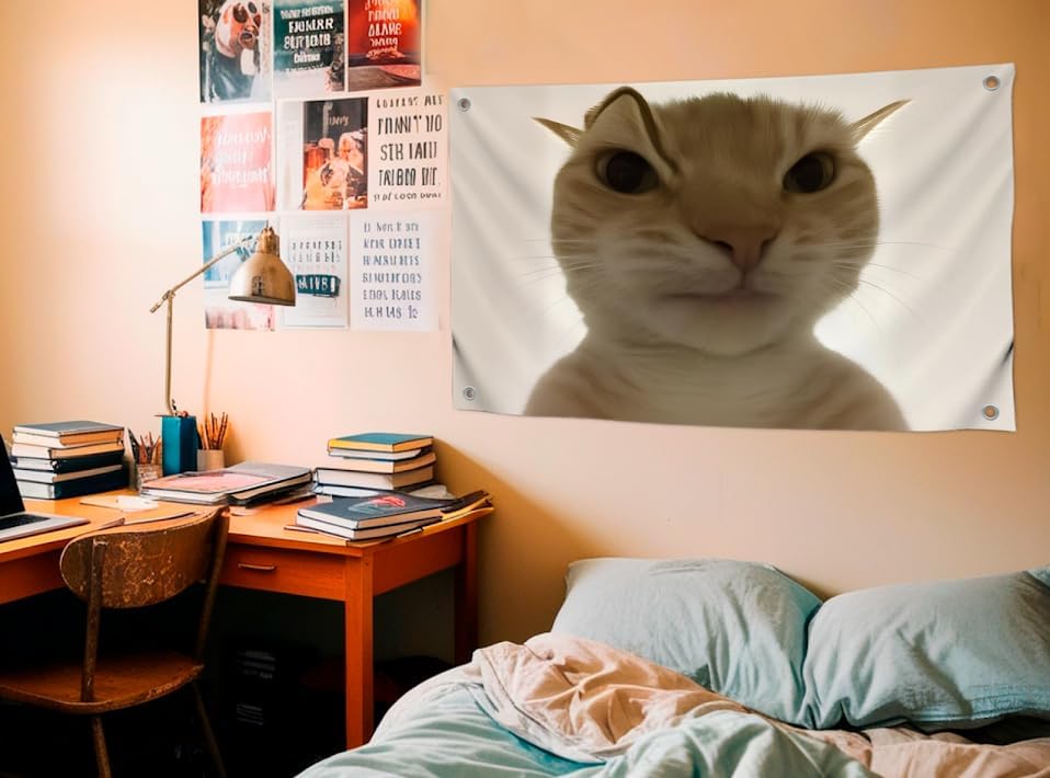 3x5 Feet Hilarious Cat Meme Flag with Four Brass Grommets - Single Sided Tapestry Posters with Cute Animals - Polyester Wall Durable Flags for Apartment Aesthetic Decor - Comical Banner for Room Kids - Image 4