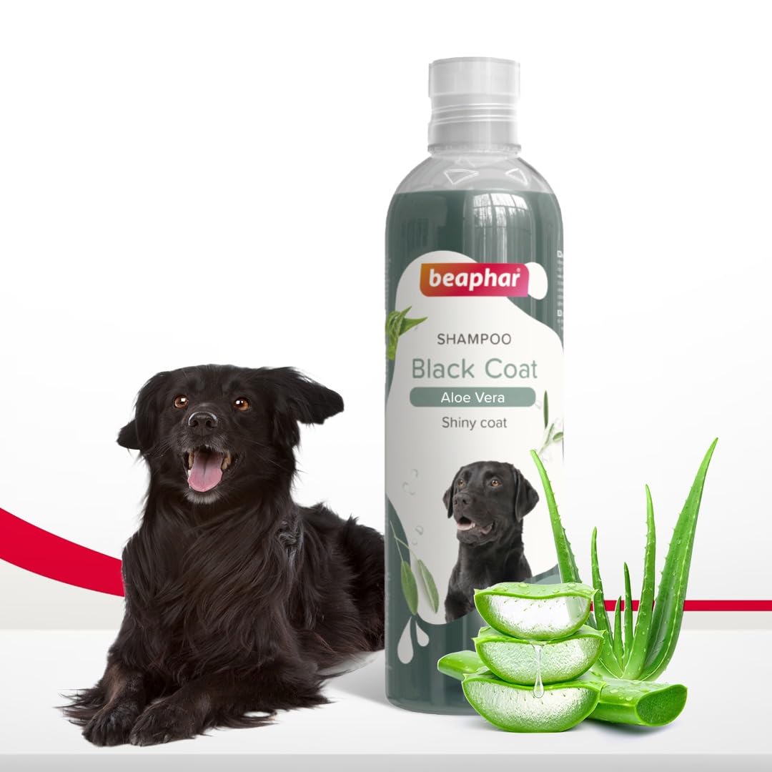 Beaphar Black Coat Dog Shampoo with Aloe Vera | Herbal Shampoo for Black Dog - 250 ML (B0D22TSZF4) Amazon Price History, Amazon Price Tracker