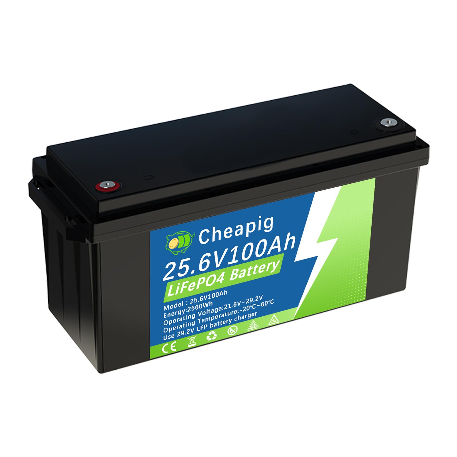 Batteria Litio 24V 100Ah Lifepo4 con 100A BMS | Protezione da Bassa Temperatura,3000+ Cicli,per Solari Domestici, Caravan, Campeggio