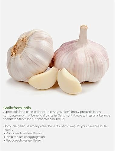 Miniatura 3 de Oregarlix Premium Suplemento para la salud intestinal. El mejor apoyo para el equilibrio microbiano de limpieza intestinal con prebióticos de