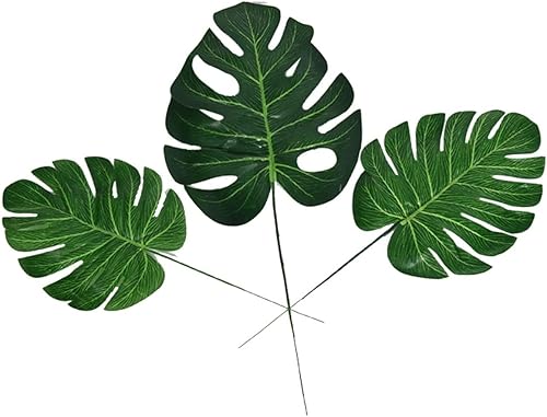 Miniatura 1 de Zerodeko 10pcs Jarrón de musgo plantas verdes sabrosa hiedra