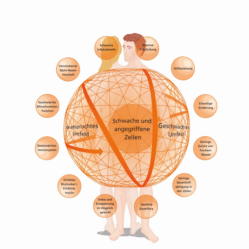 Krebs verstehen und ganzheitlich behandeln: Integrative Strategien