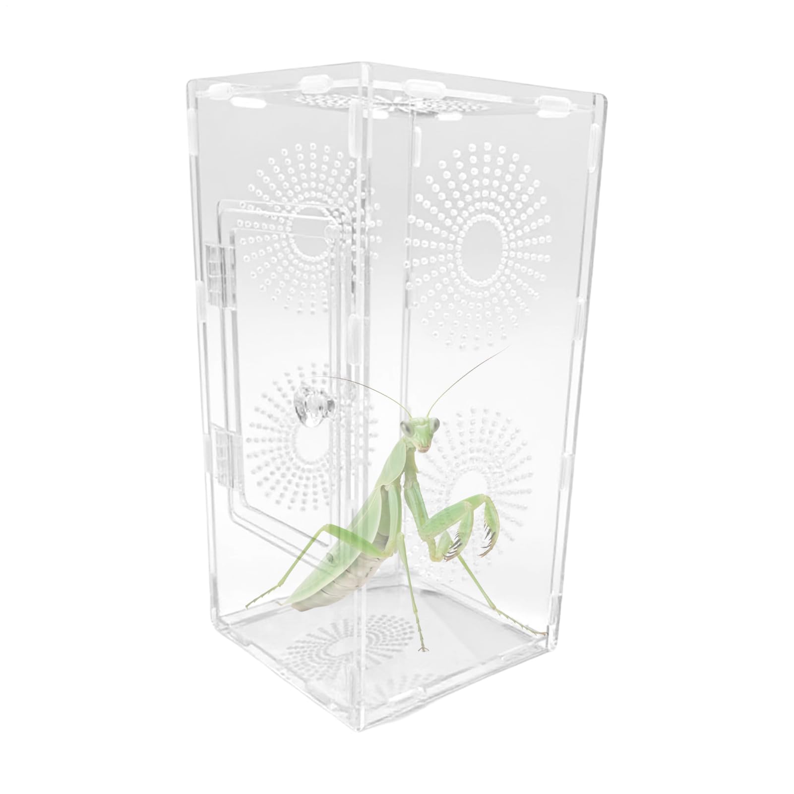 Jumping Spider Terrarium, Clear Spider Habitat Small Reptile Enclosure, Full Transparency Terrarium Secure Mantises Feeding Accessories for Kids Adults Girls Family Teen