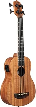 Nomad Acoustic-Electric U•BASS®