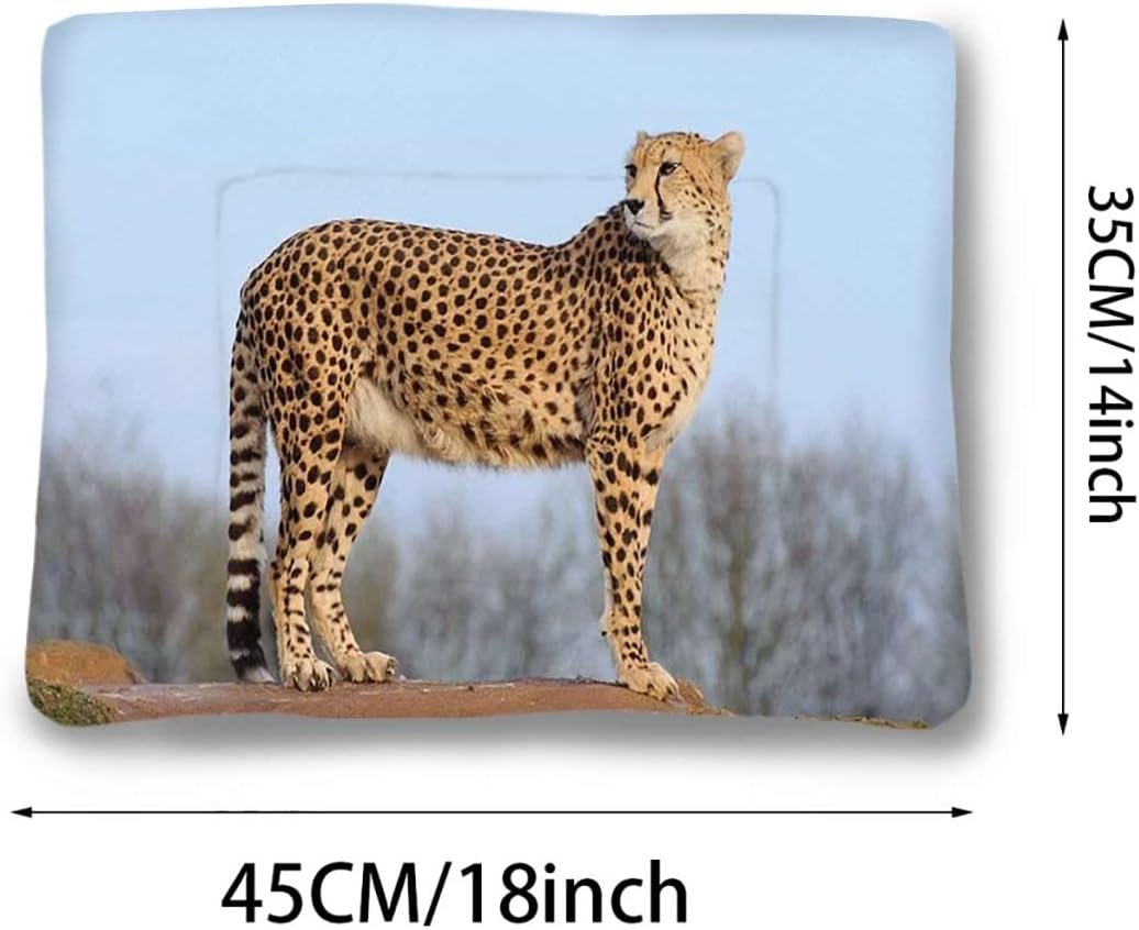 review Tan Umber Brown Non-Electric Pet Warming Pad Leopard Cheetahs Mountain Scenery Cozy Self Heating Warming Kitty Kitten Puppy Small Dog Bed Africa 14