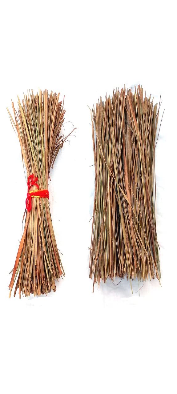 Li6 ®™ Kush Ka Ghas - 250gm - Darbha Grass or Kusha Grass for Pooja, Havan Kund, Yagyan - Halfa Grass (B0BWFVZXWC) Amazon Price History, Amazon Price Tracker