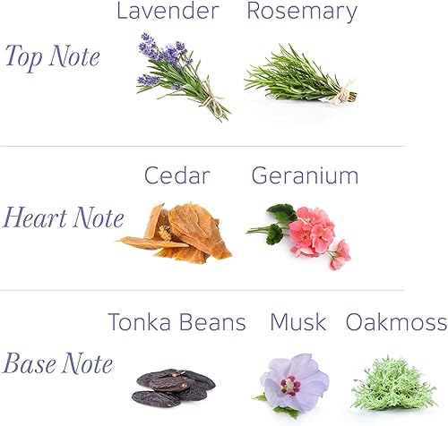 Miniatura 4 de Yardley London Fragancias florales frescas perfumadas bloqueadas en un polvo de talco fino y sedoso (talco perfumado de lavanda inglesa Yardley, 250