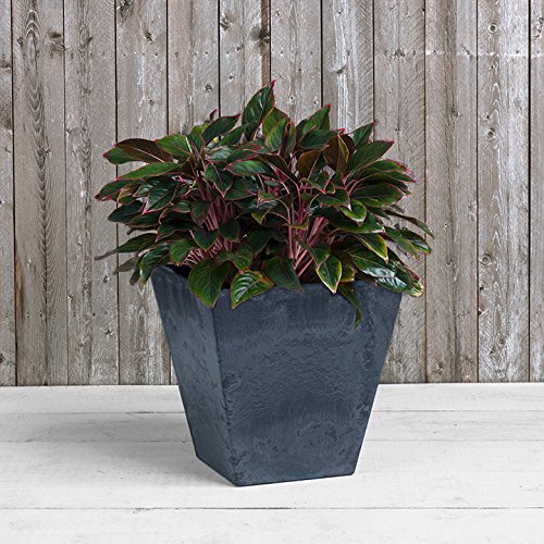 Amazon.com : Novelty 35188 Square Ella Planter, Black, 18