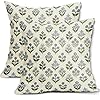 Blue Green Block Print Pillow Covers 18×18 Inch Set of 2 Vintage Floral Spring Decorative Throw Pillow Cases Boho Cushion Covers Rustic Decoration Gift Farmhouse Sofa Couch Bed Decor