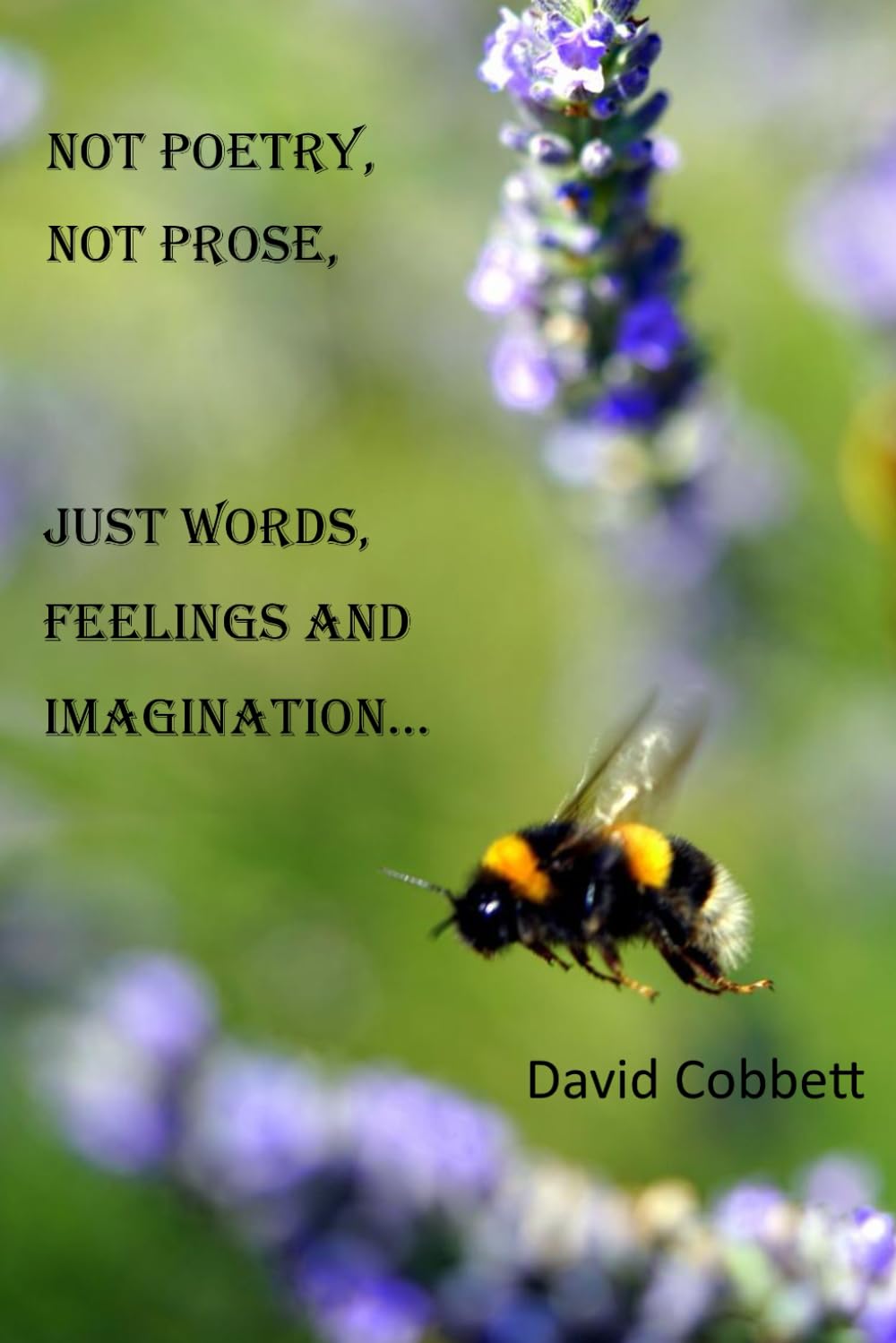 Not Poetry, Not Prose, Just Words, Feelings and Imagination...