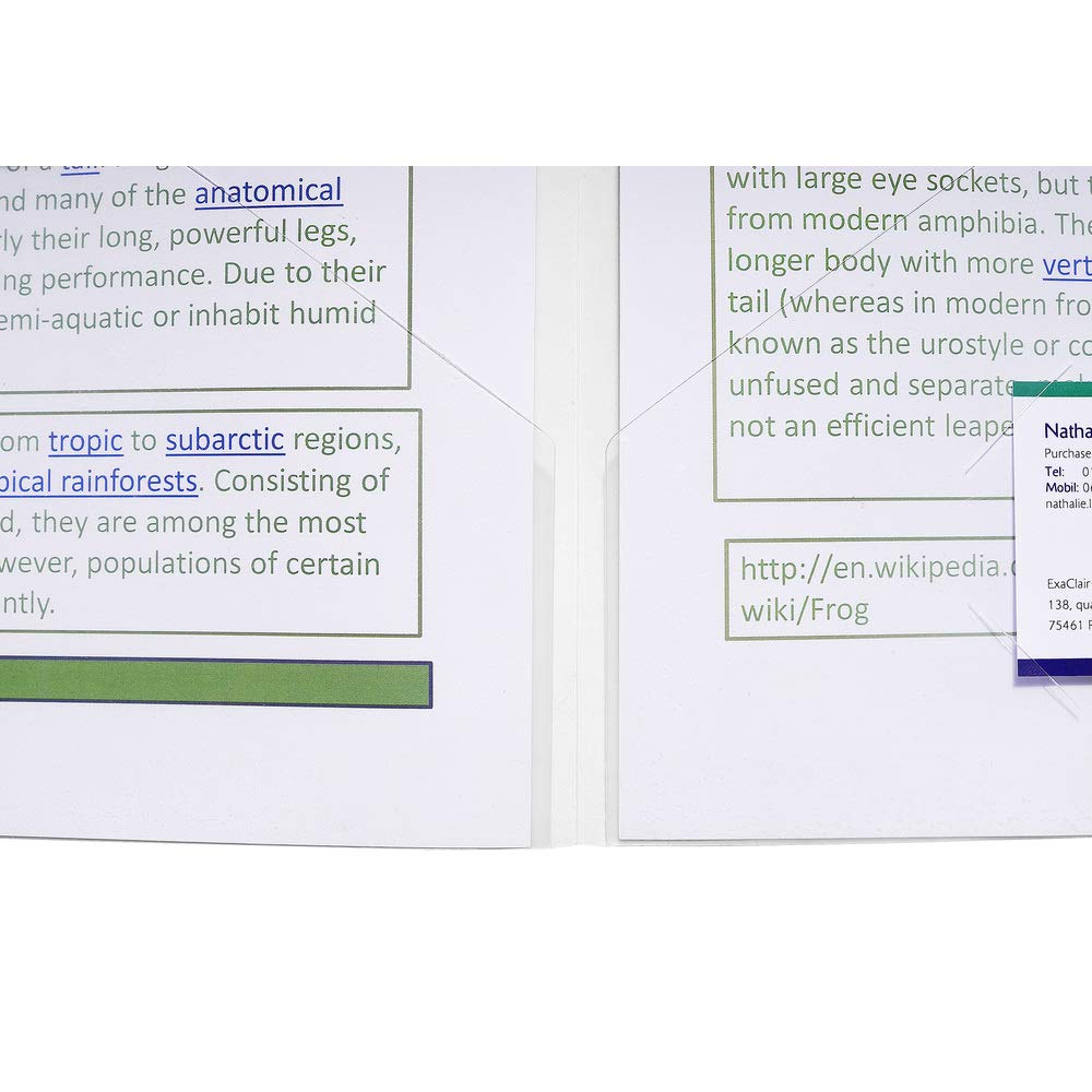 Exacompta - Réf. 3965E - Paquet de 10 chemises de présentation double poche en PP souple - pour format A4 double et/ou A3 - dim 23 x 32cm - encoches pour insertion carte de visite - couleur cristal