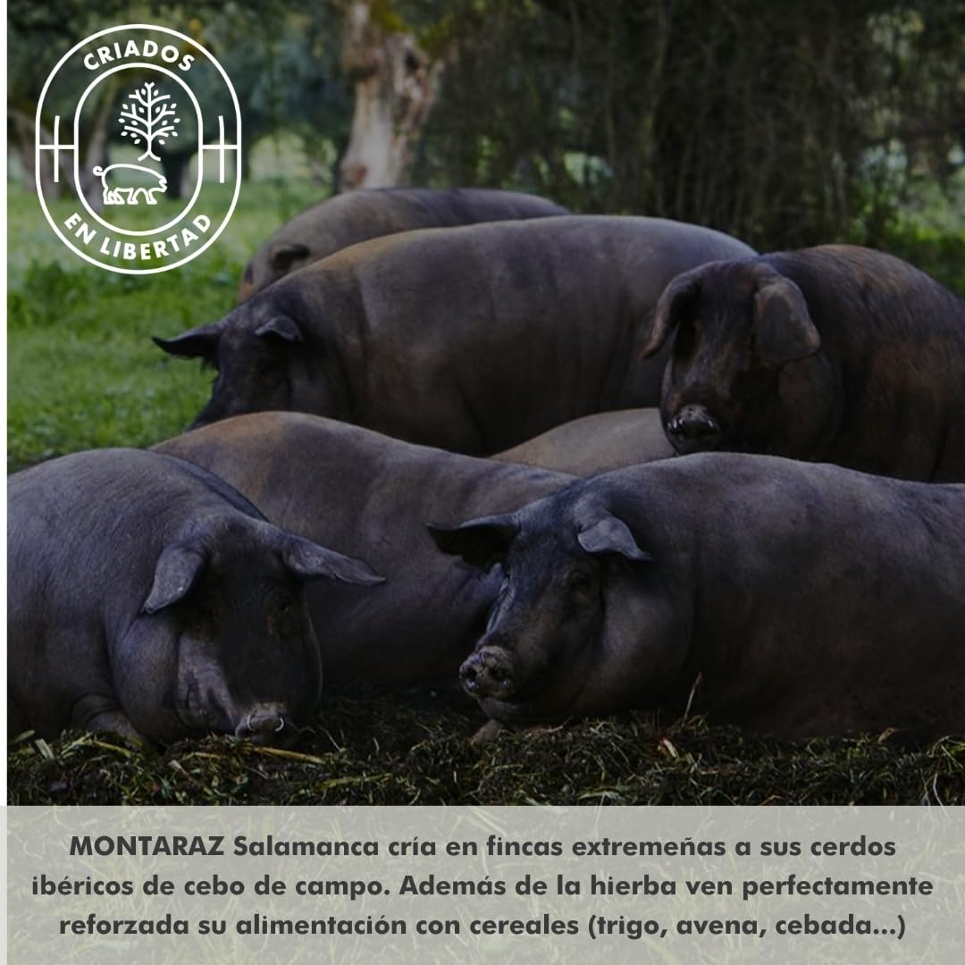 MONTARAZ® Jamon Iberico de Cebo de Campo | 50% Raza Ibérica | Curación 24 Meses | Pieza Entera de 7,5-8,5 kg | Jamón Ibérico de Cebo de Campo Calidad Gourmet | Sin Aditivos ni Conservantes — view 6