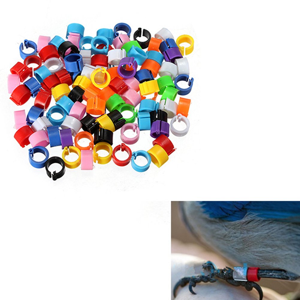 JJ Store 100Pcs Set Poultry Leg Bands Bird Pigeon Parrot Chicks Duck Hen Colorful Rings Clip