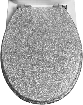 OCKULT Round Toilet Seat,Adjustable Toilet Seats,Resin Toilet Seat Cover with Metal Hinges Color Silver, Size 36 * 42cm