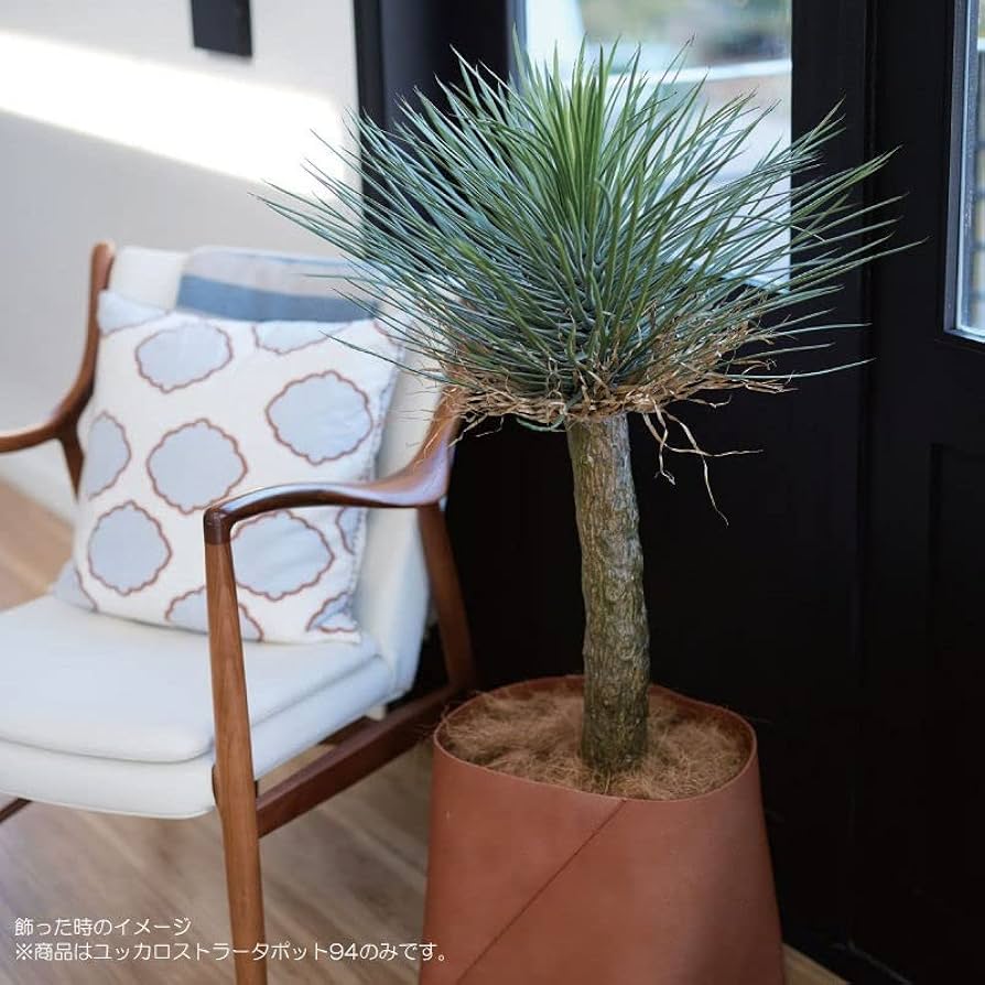 光触媒　人工観葉植物　ウォールグリーン　フェイクグリーン　ユッカ・ロストラータ 光触媒 人工観葉植物 ウォールグリーン フェイクグリーン ユッカ