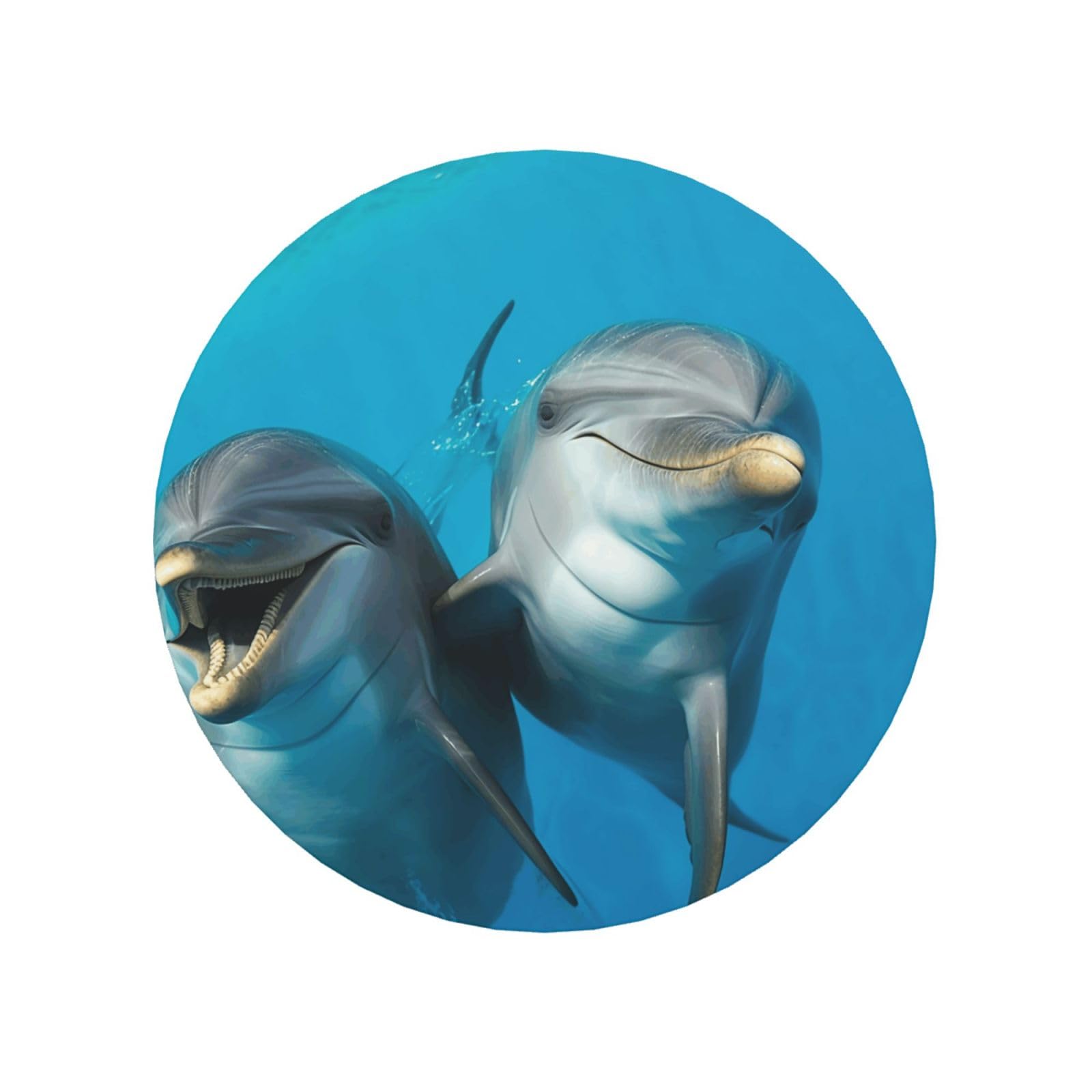 Smiling Face Dolphins Fridge Magnets Cute Strong Refrigerator Magnets Fun Magnet for Locker Office Whiteboard Decor, Door Magnets Decorative Magnetic Stickers for Home Decor