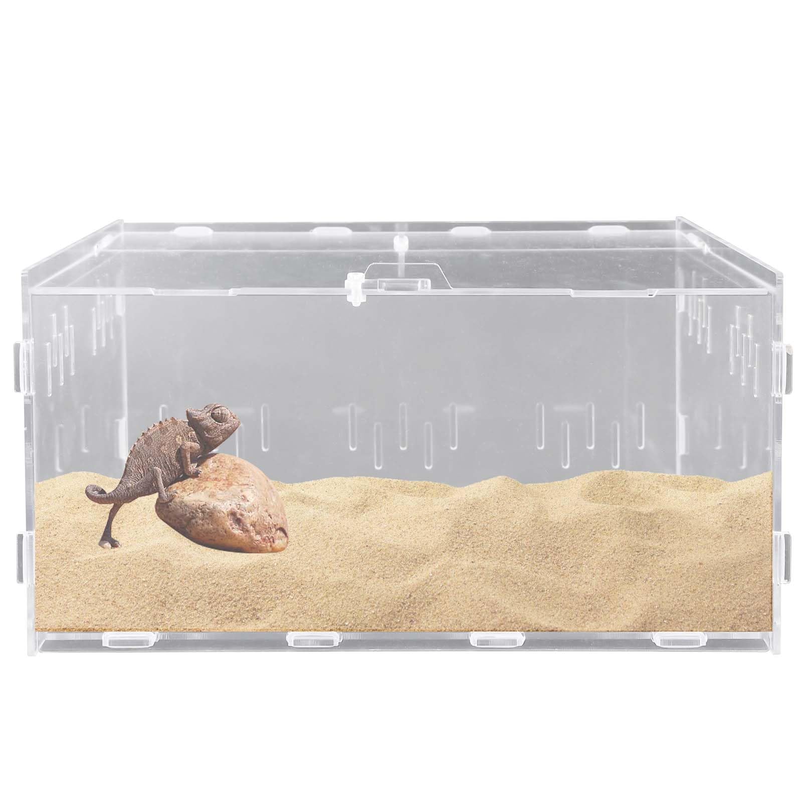 Boîte d'alimentation en acrylique pour reptiles, escargots, terrariums et insectes - Boîte de transport pour tortues d'eau, araignées, hamsters et ermites